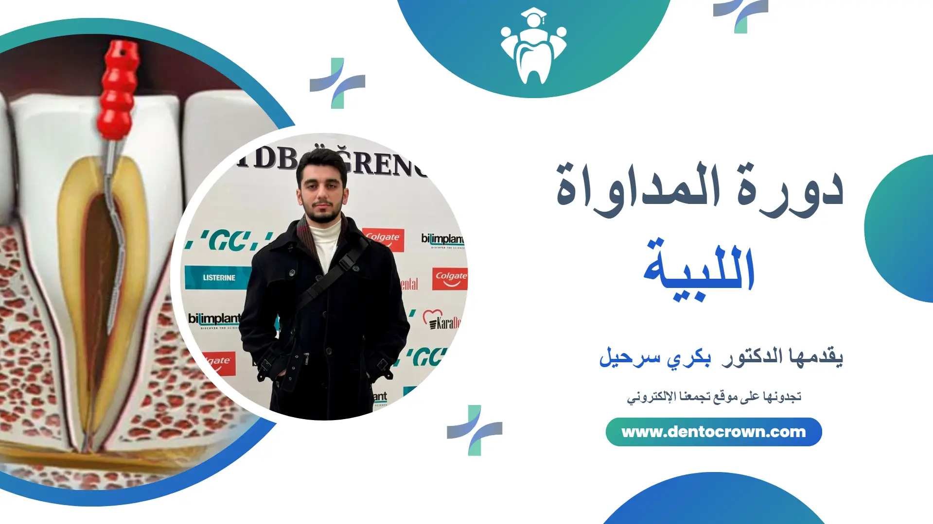 دورة المداوة اللبية